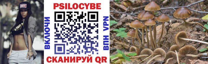 закладки Слободской Псилоцибиновые грибы Psilocybe